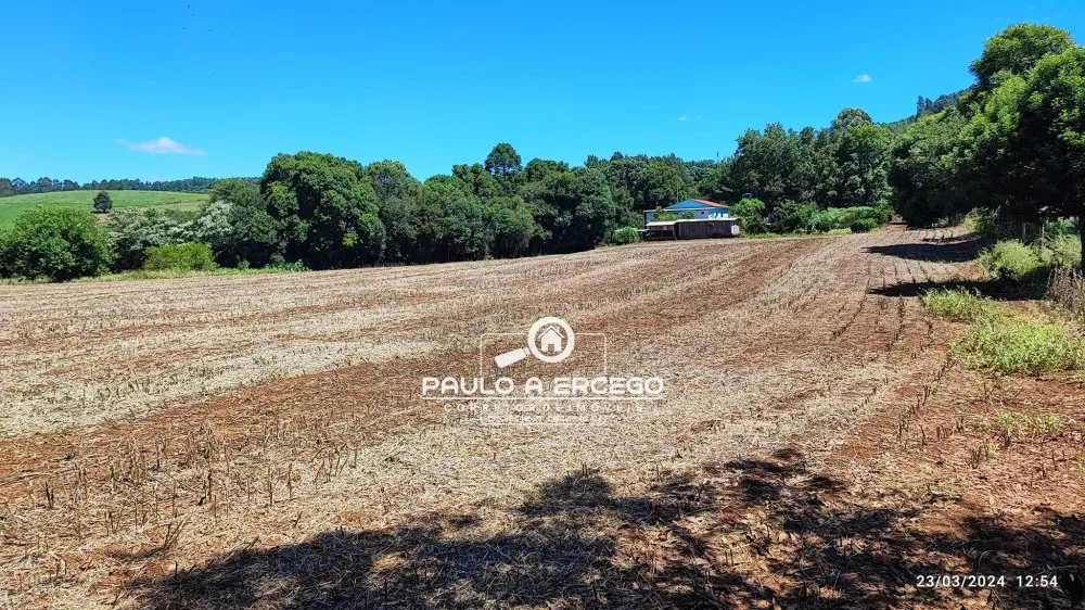 Chácara, 3 quartos, 3 hectares - Foto 3