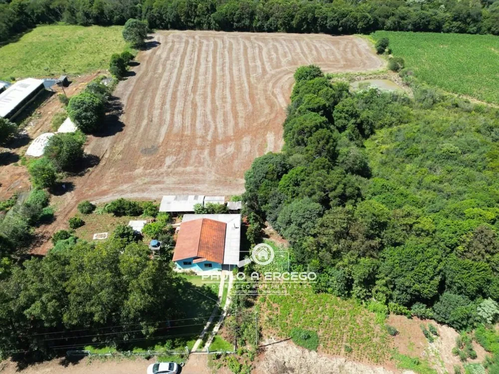 Chácara, 3 quartos, 3 hectares - Foto 1