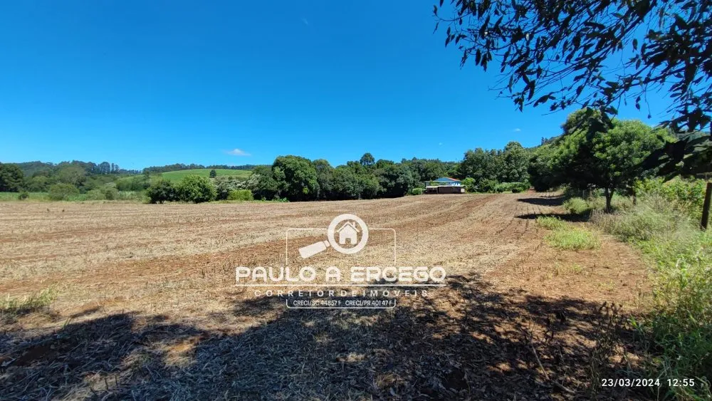 Chácara, 3 quartos, 3 hectares - Foto 10