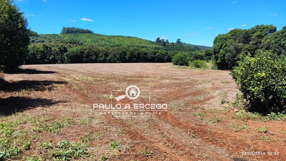 Chácara, 3 quartos, 3 hectares - Foto 11