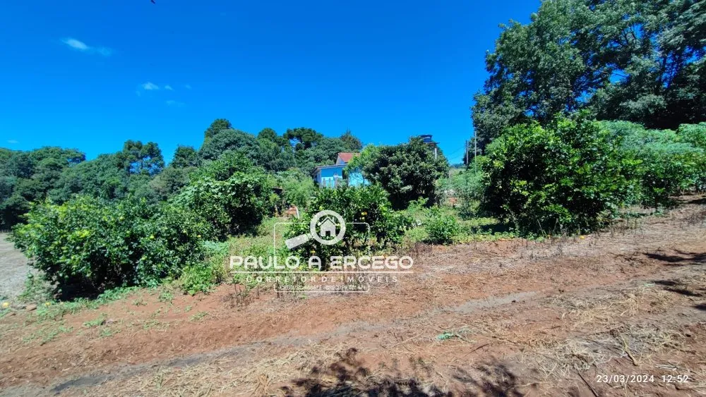 Chácara, 3 quartos, 3 hectares - Foto 13