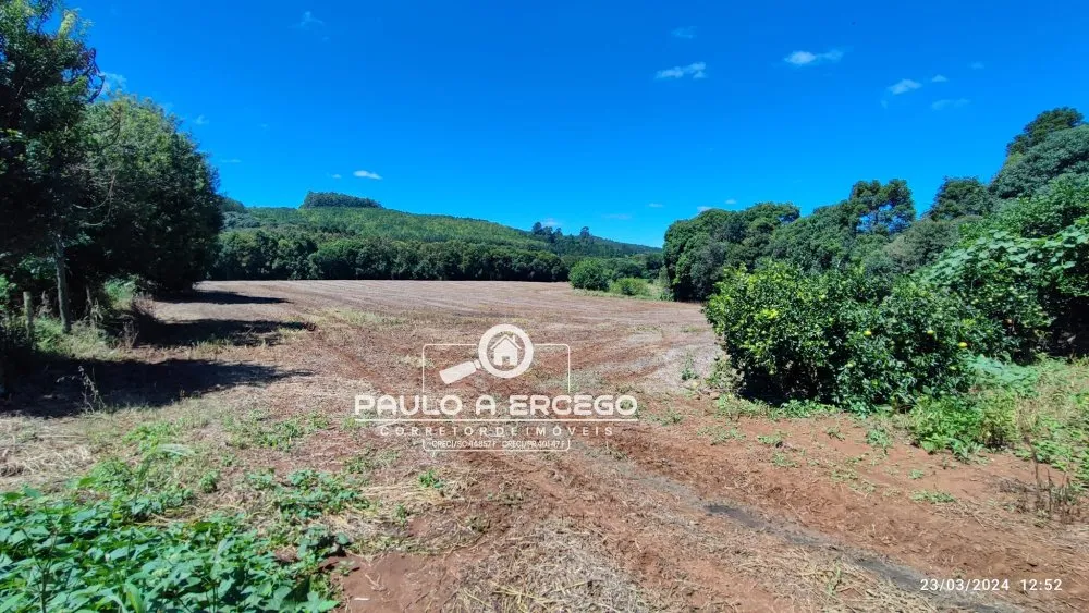 Chácara, 3 quartos, 3 hectares - Foto 8