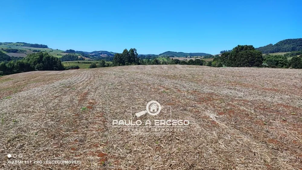 Fazenda, 39 hectares - Foto 2