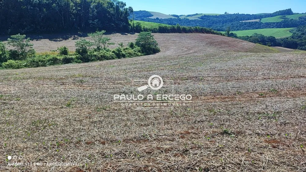 Fazenda, 39 hectares - Foto 10