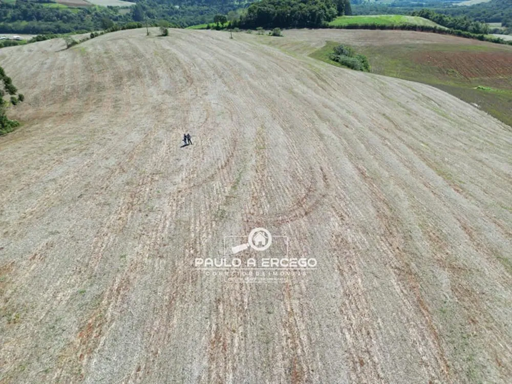 Fazenda, 39 hectares - Foto 3
