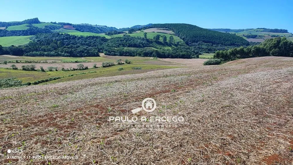 Fazenda, 39 hectares - Foto 9