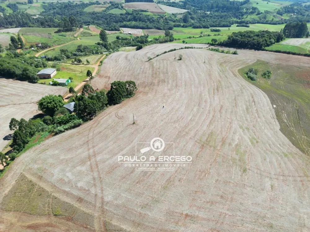 Fazenda, 39 hectares - Foto 1