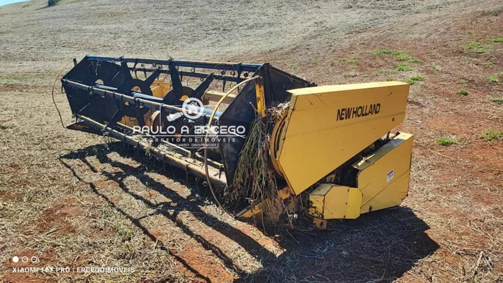 Fazenda, 39 hectares - Foto 13