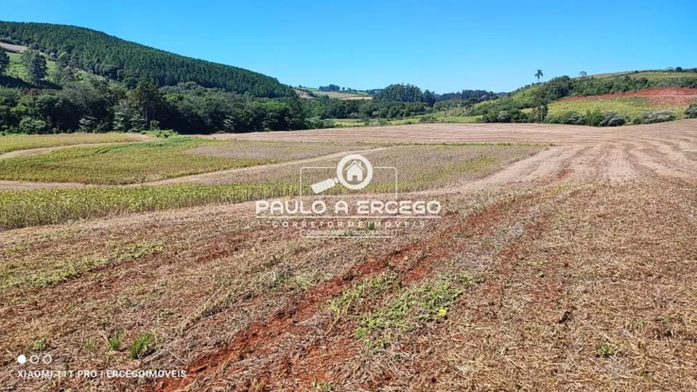 Fazenda, 39 hectares - Foto 6