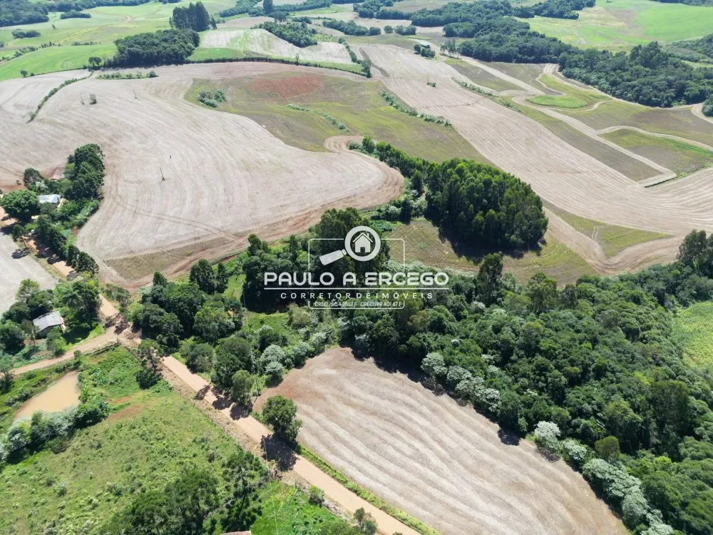 Fazenda, 39 hectares - Foto 8