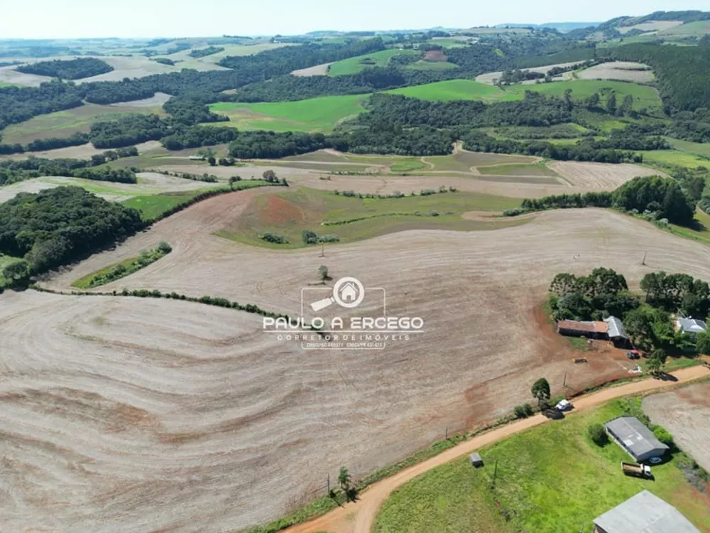 Fazenda, 39 hectares - Foto 7