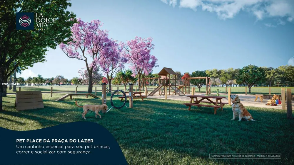Terreno, 250 m² - Foto 14