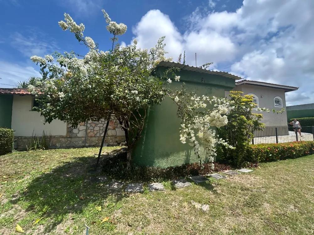 Casa, 4 quartos, 320 m² - Foto 15