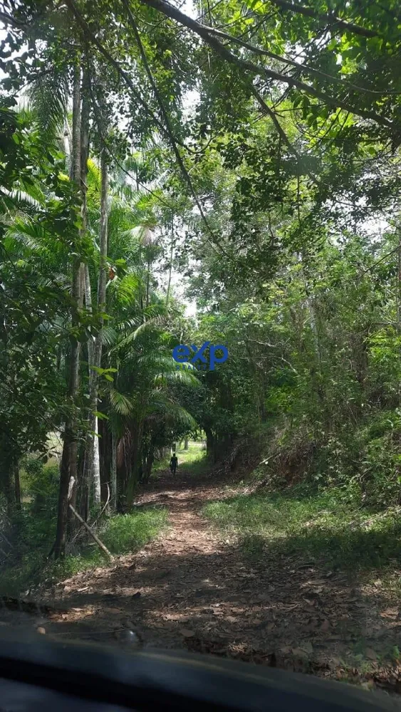 Terreno, 17 hectares - Foto 4
