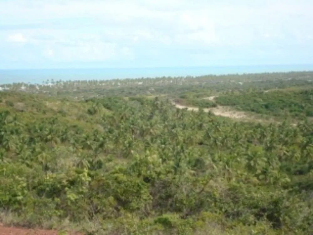 Loteamento e Condomínio, 1520 hectares - Foto 7