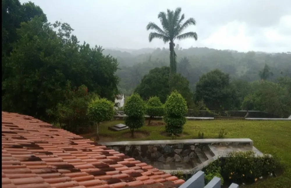 Casa, 4 quartos - Foto 4