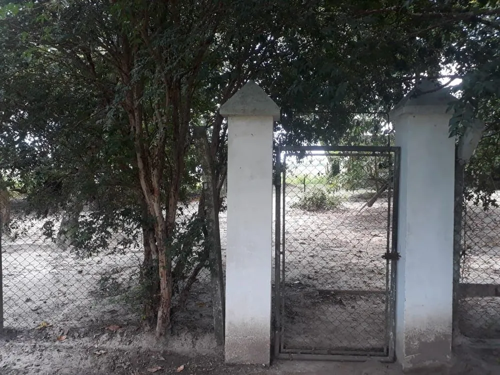 Sítio, 22 hectares - Foto 4