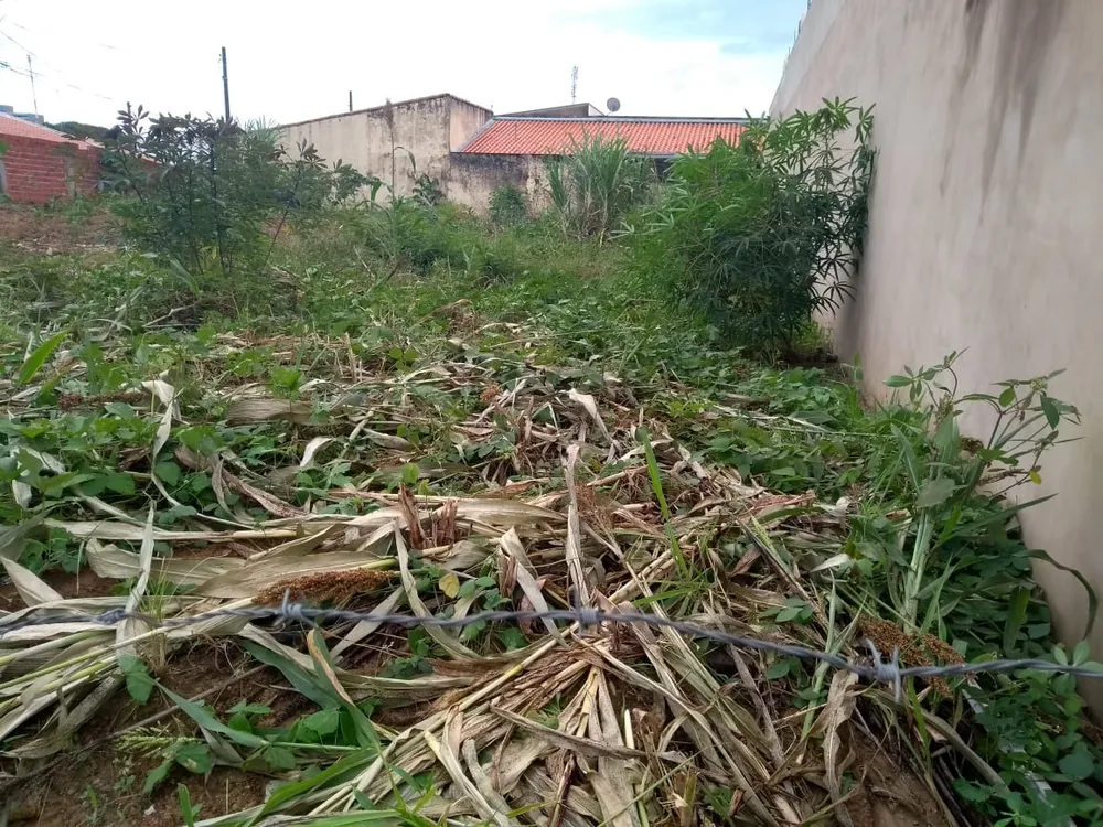 Terreno, 307 m² - Foto 3