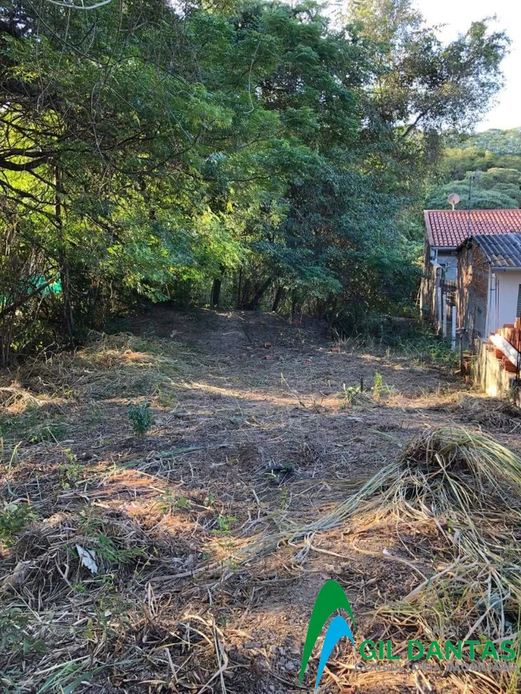 Terreno, 2636 m² - Foto 2