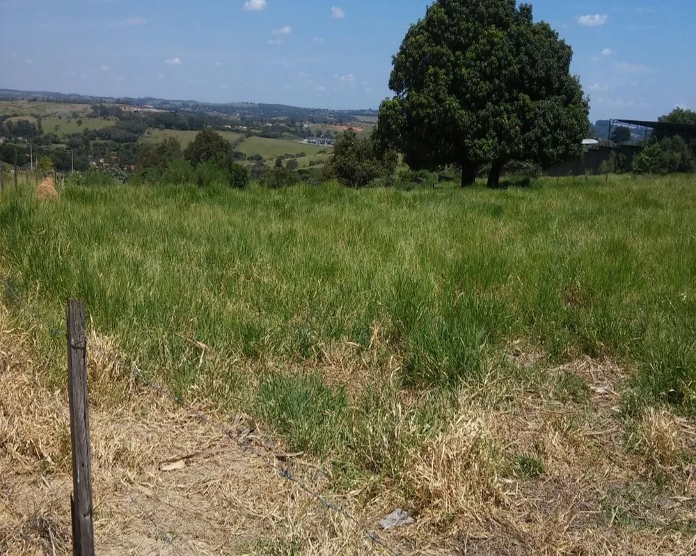 Terreno, 1 hectares - Foto 4