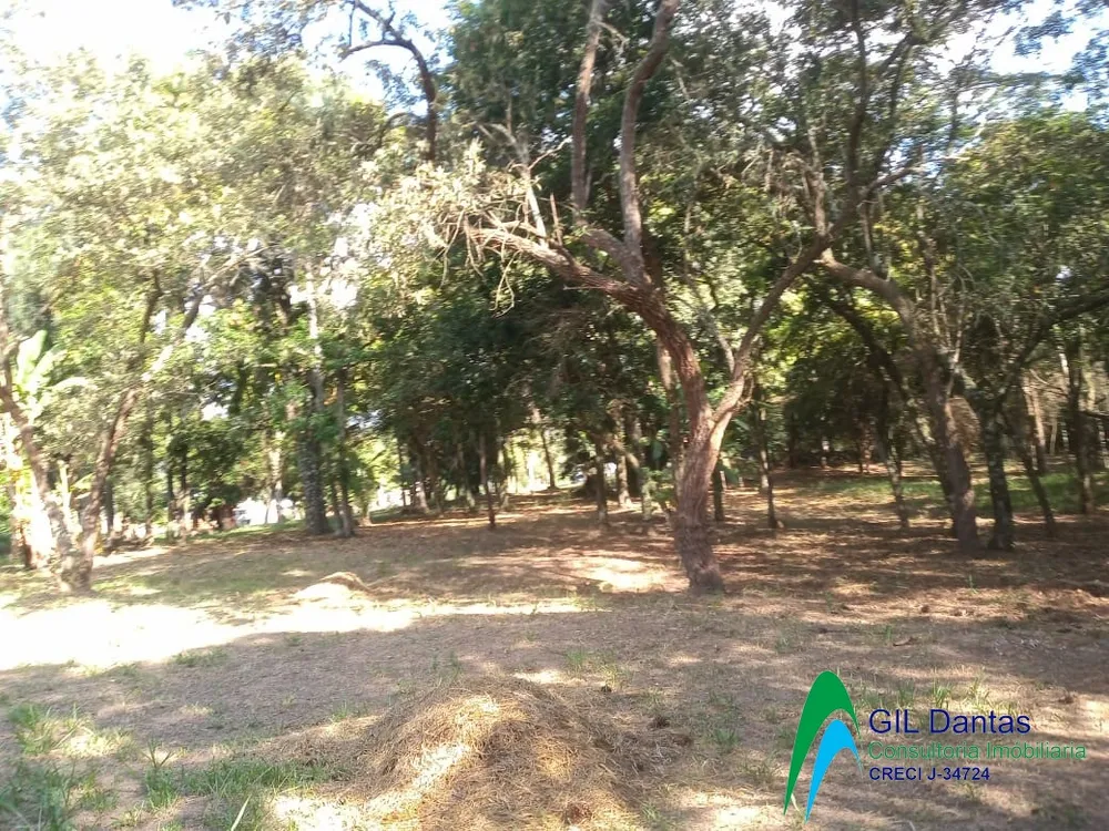 Terreno, 8000 hectares - Foto 3
