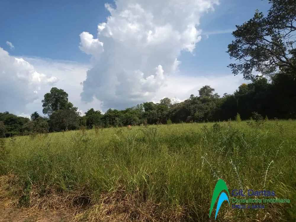 Terreno, 8000 hectares - Foto 4