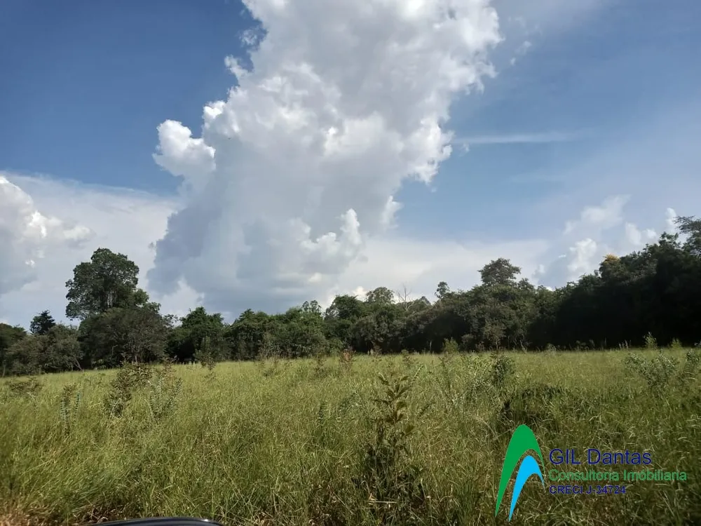 Terreno, 8000 hectares - Foto 1