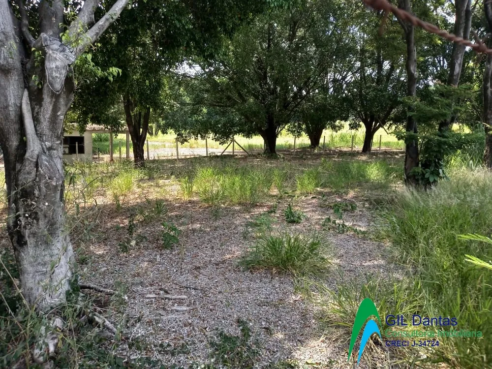 Terreno, 3 hectares - Foto 4