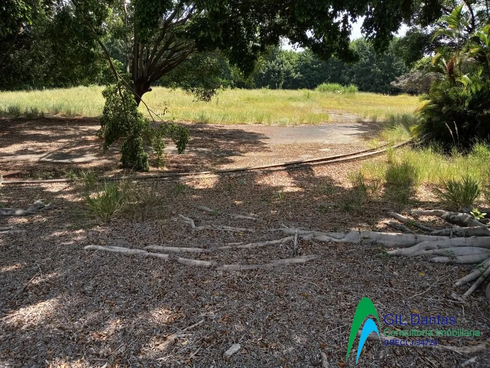 Terreno, 3 hectares - Foto 3