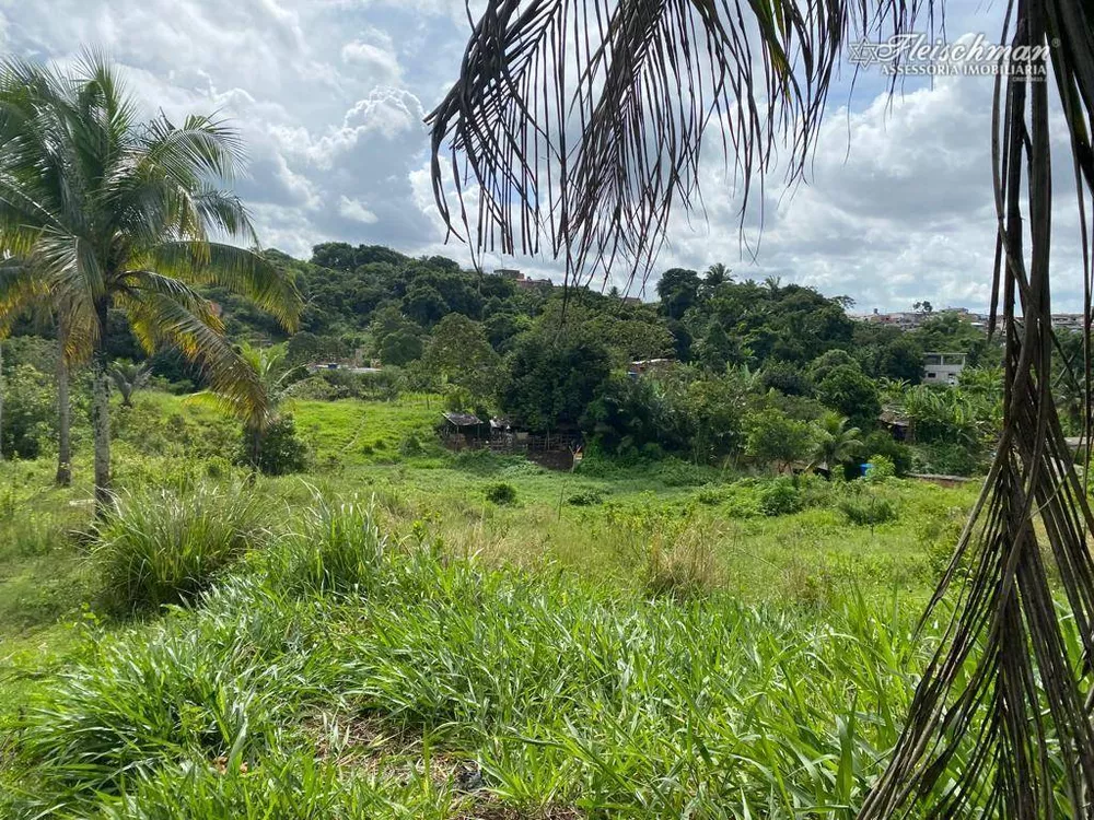 Terreno, 2 hectares - Foto 1