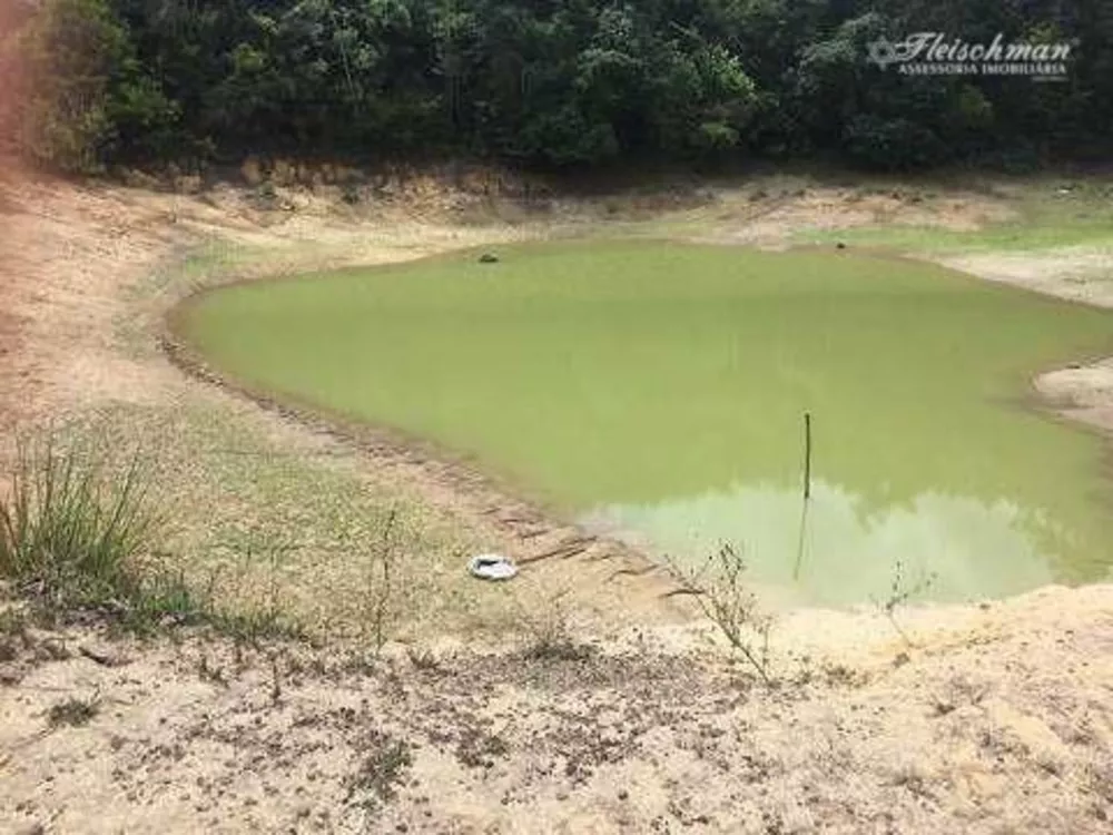 Fazenda, 44 hectares - Foto 12