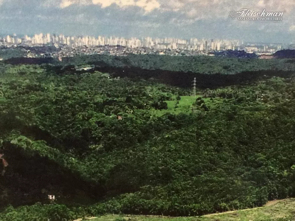 Fazenda, 44 hectares - Foto 9