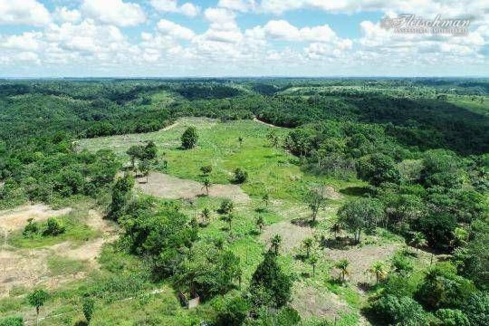Fazenda à venda com 9 quartos, 440000M2 - Foto 4