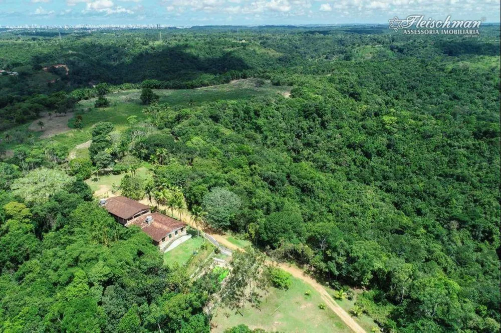 Fazenda, 44 hectares - Foto 11