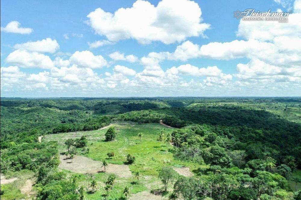 Fazenda à venda com 9 quartos, 440000M2 - Foto 6