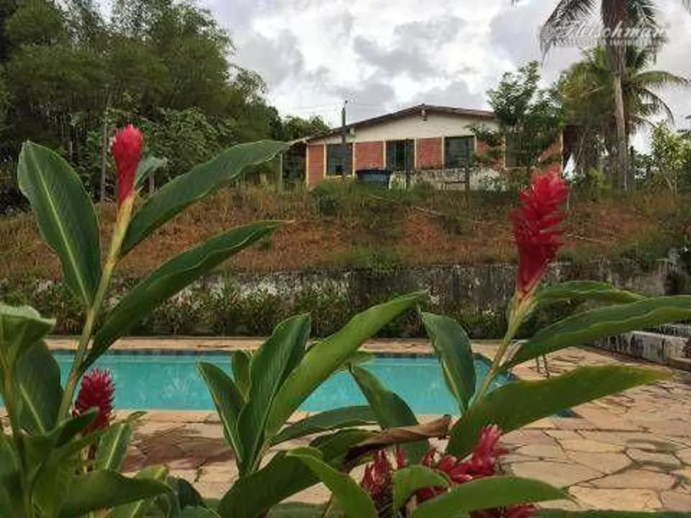 Fazenda, 44 hectares - Foto 17