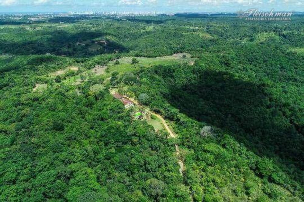 Fazenda à venda com 9 quartos, 440000M2 - Foto 3