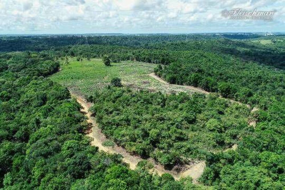 Fazenda à venda com 9 quartos, 440000M2 - Foto 5