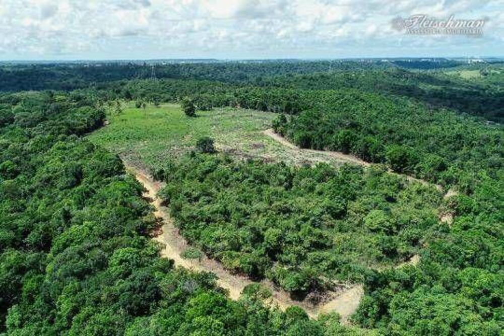 Fazenda à venda com 9 quartos, 440000M2 - Foto 1