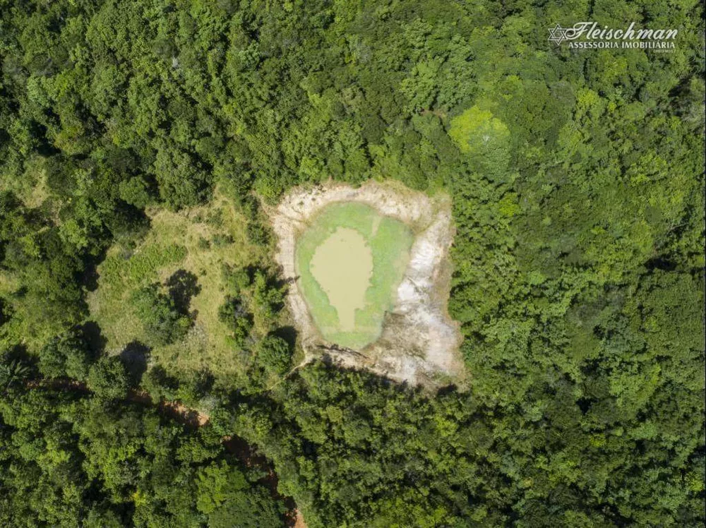 Fazenda, 44 hectares - Foto 10