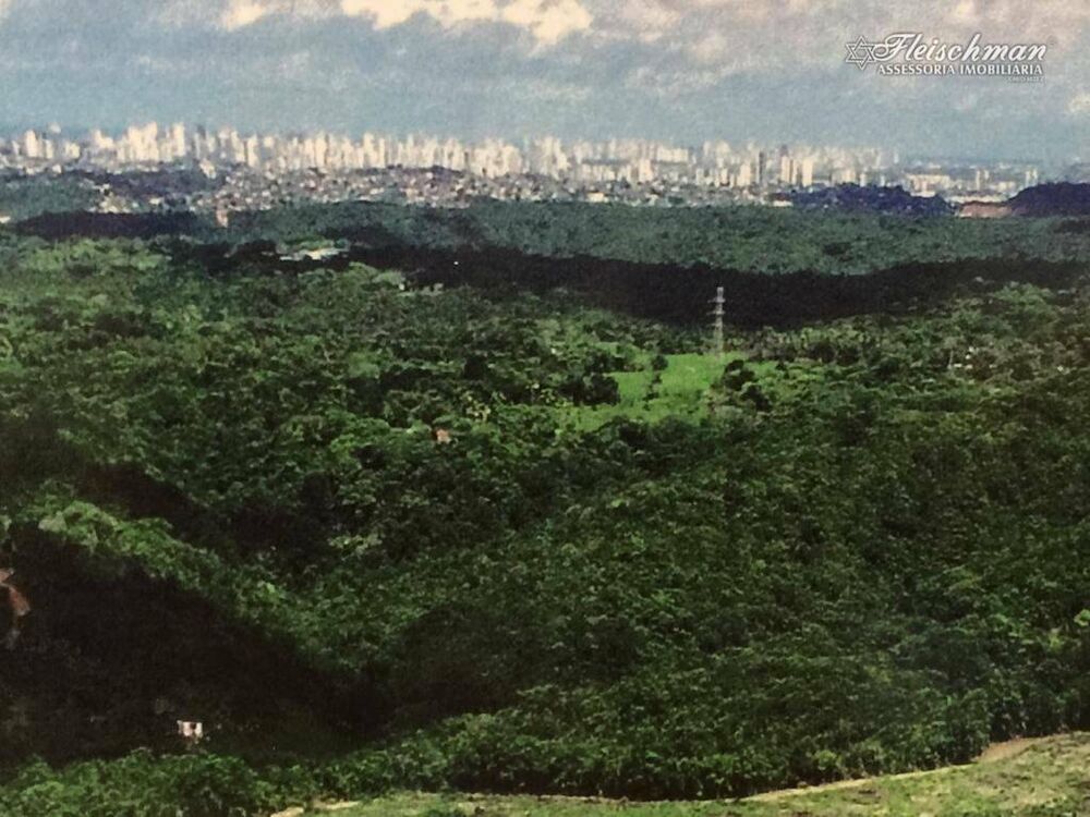 Fazenda à venda com 9 quartos, 440000M2 - Foto 8