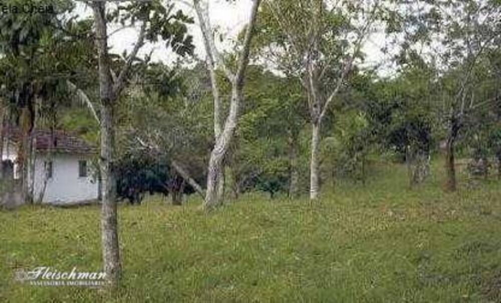 Chácara, 2 quartos, 4 hectares - Foto 6