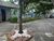 Apartamento, 3 quartos, 105 m² - Foto 3