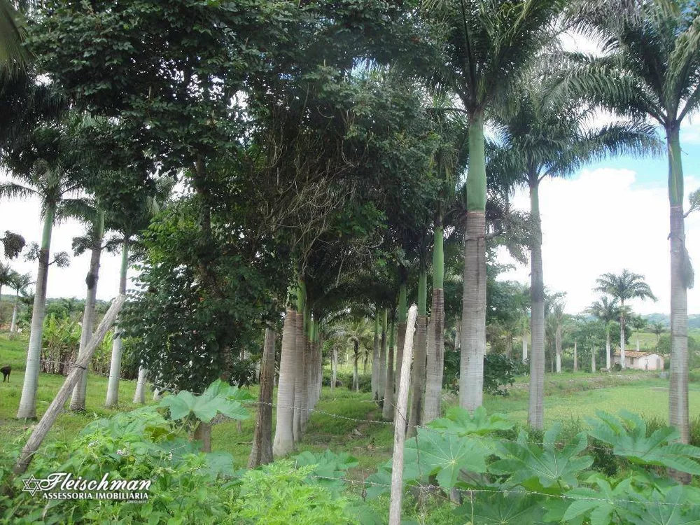 Terreno, 1 hectares - Foto 7