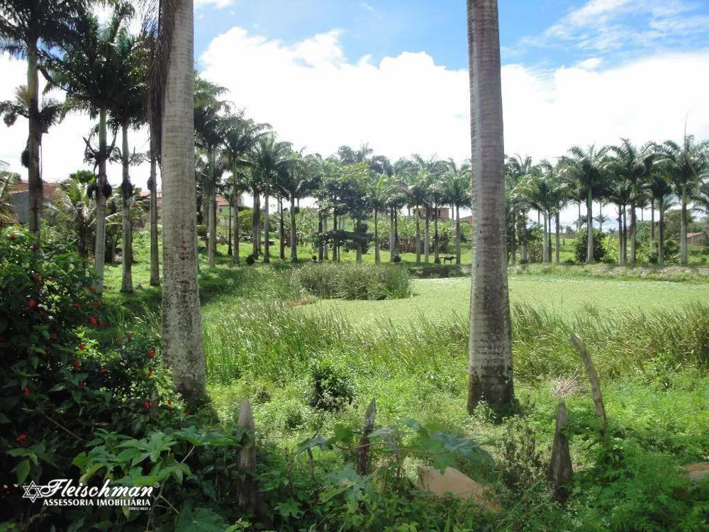 Terreno, 1 hectares - Foto 4