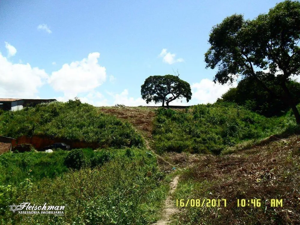 Terreno, 6600 m² - Foto 1