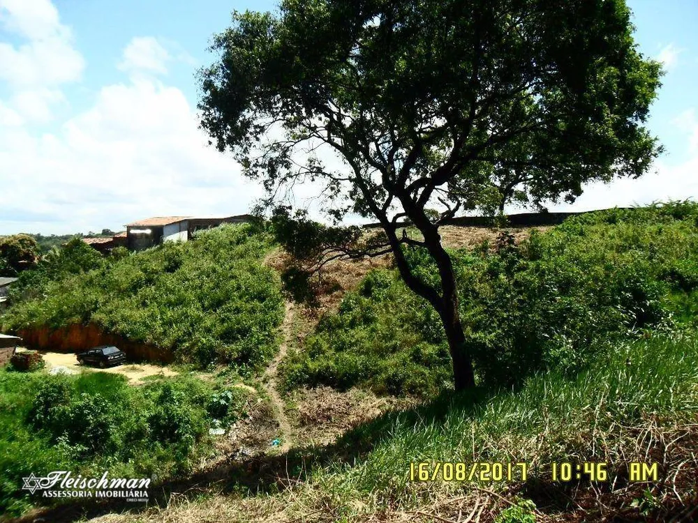 Terreno, 6600 m² - Foto 2