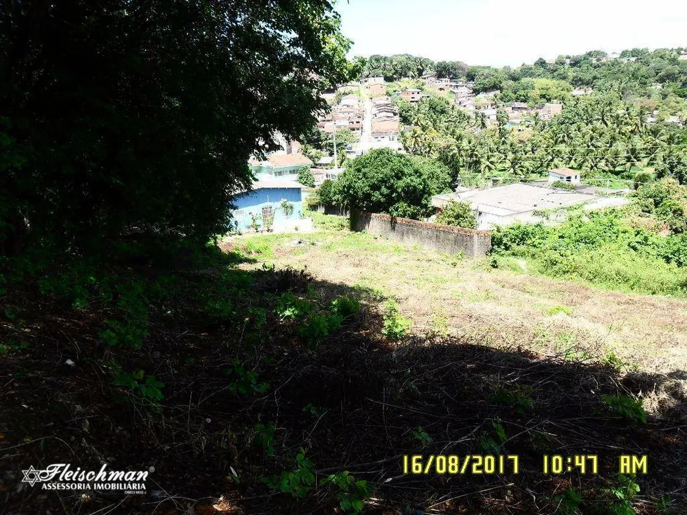 Terreno, 6600 m² - Foto 4