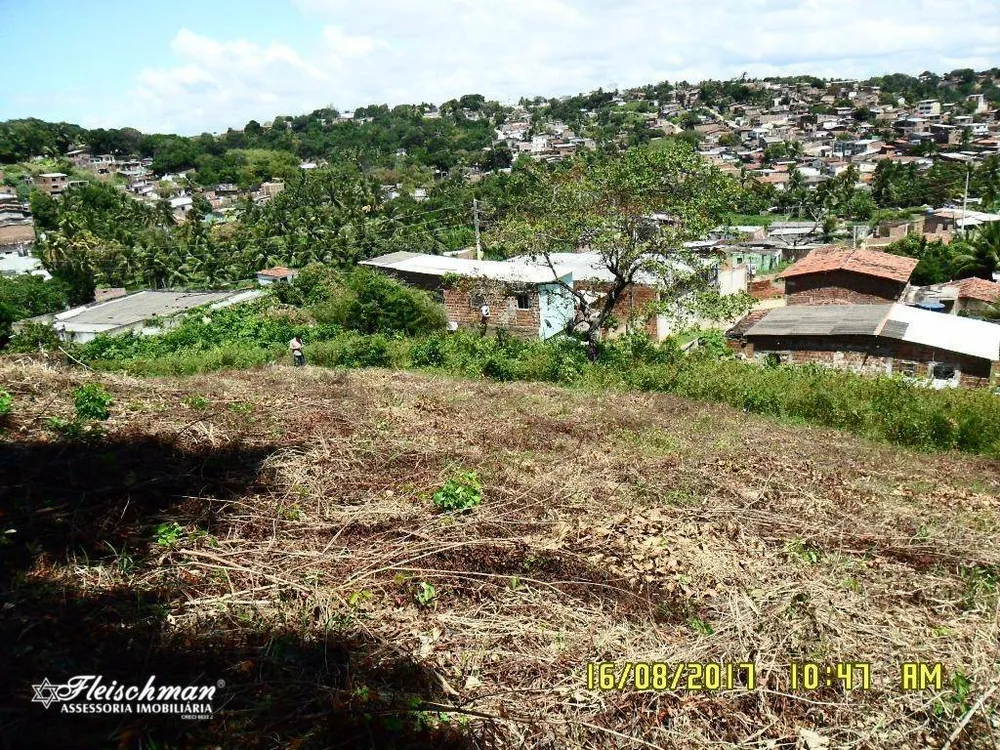 Terreno, 6600 m² - Foto 3