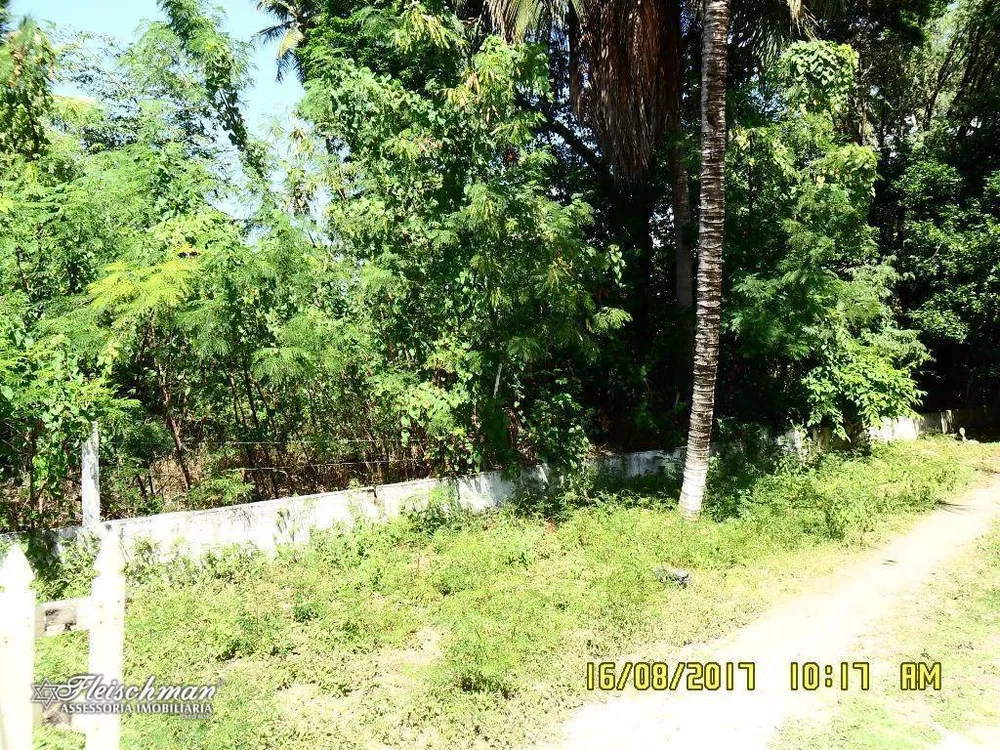 Terreno, 1 hectares - Foto 4